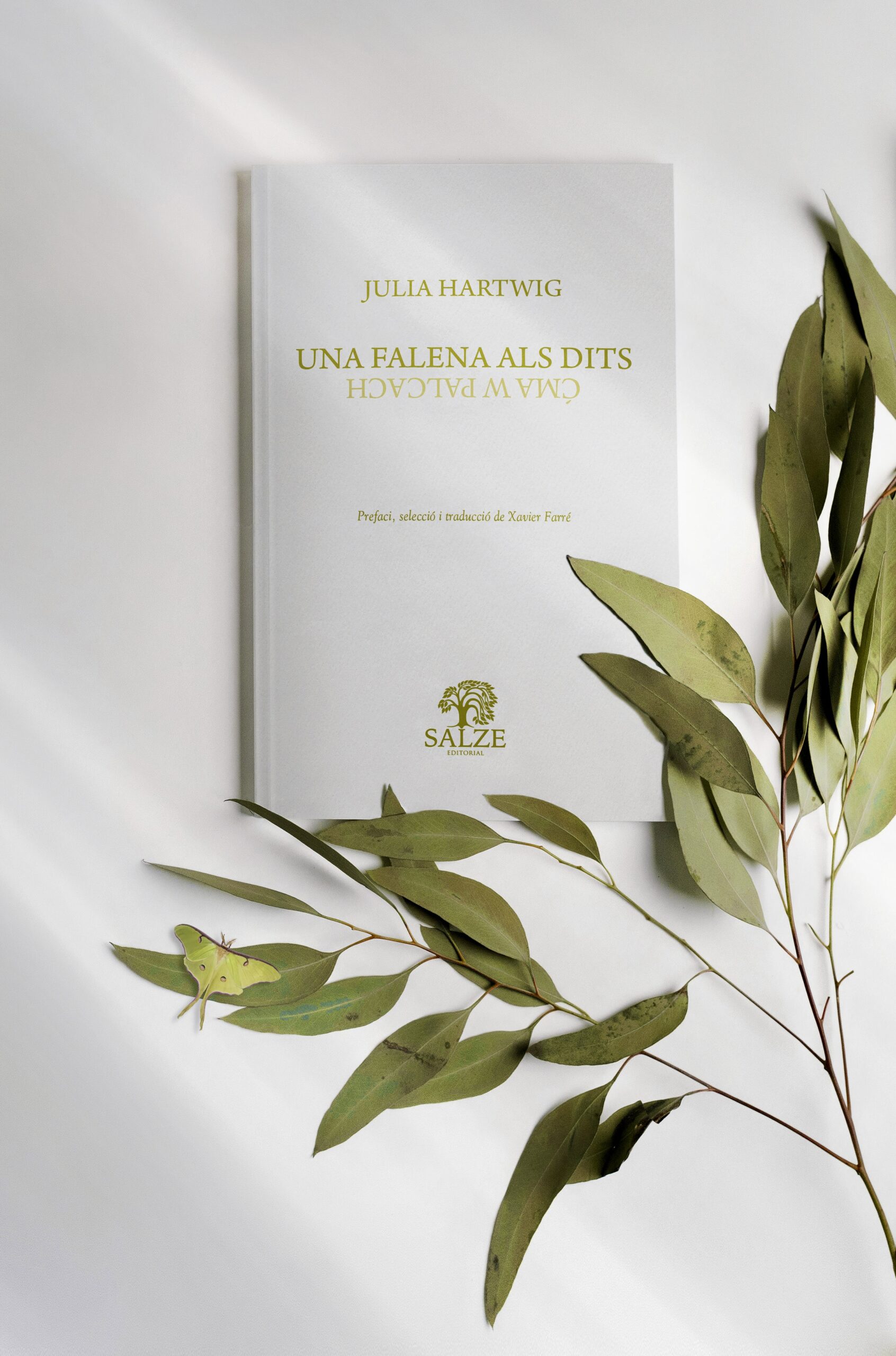 una-falena-als-dits-julia-hartwig-salze